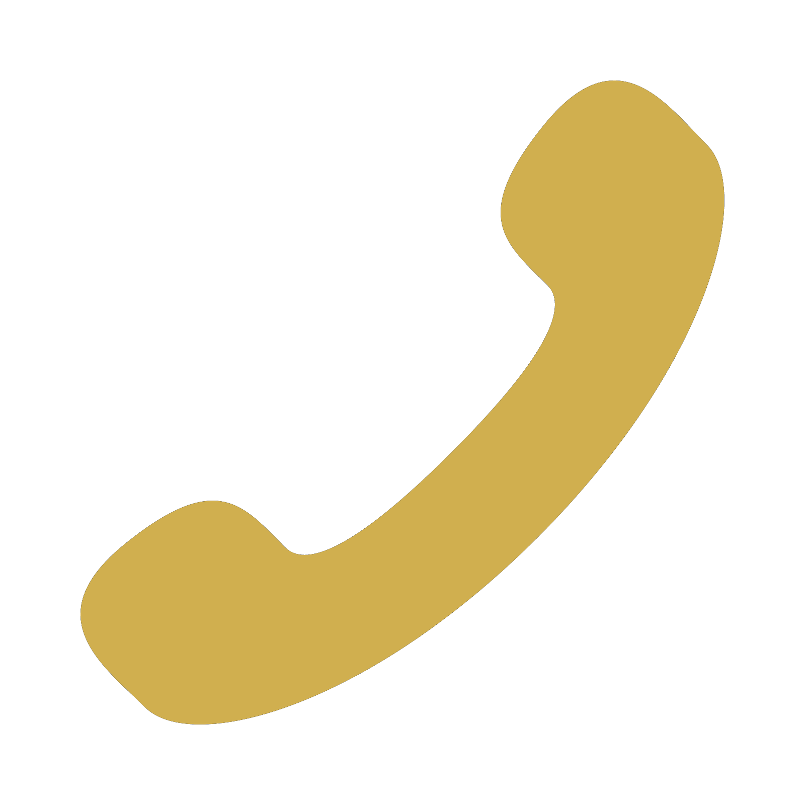 phone_icon